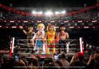 Playmobil: Lizenzpartnerschaft mit WWE
